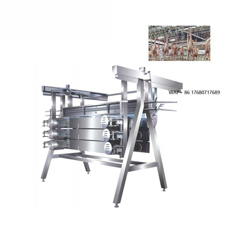 Chicken Plucker Machine - آلة نتف ريش الدجاج، معدات الذبح،