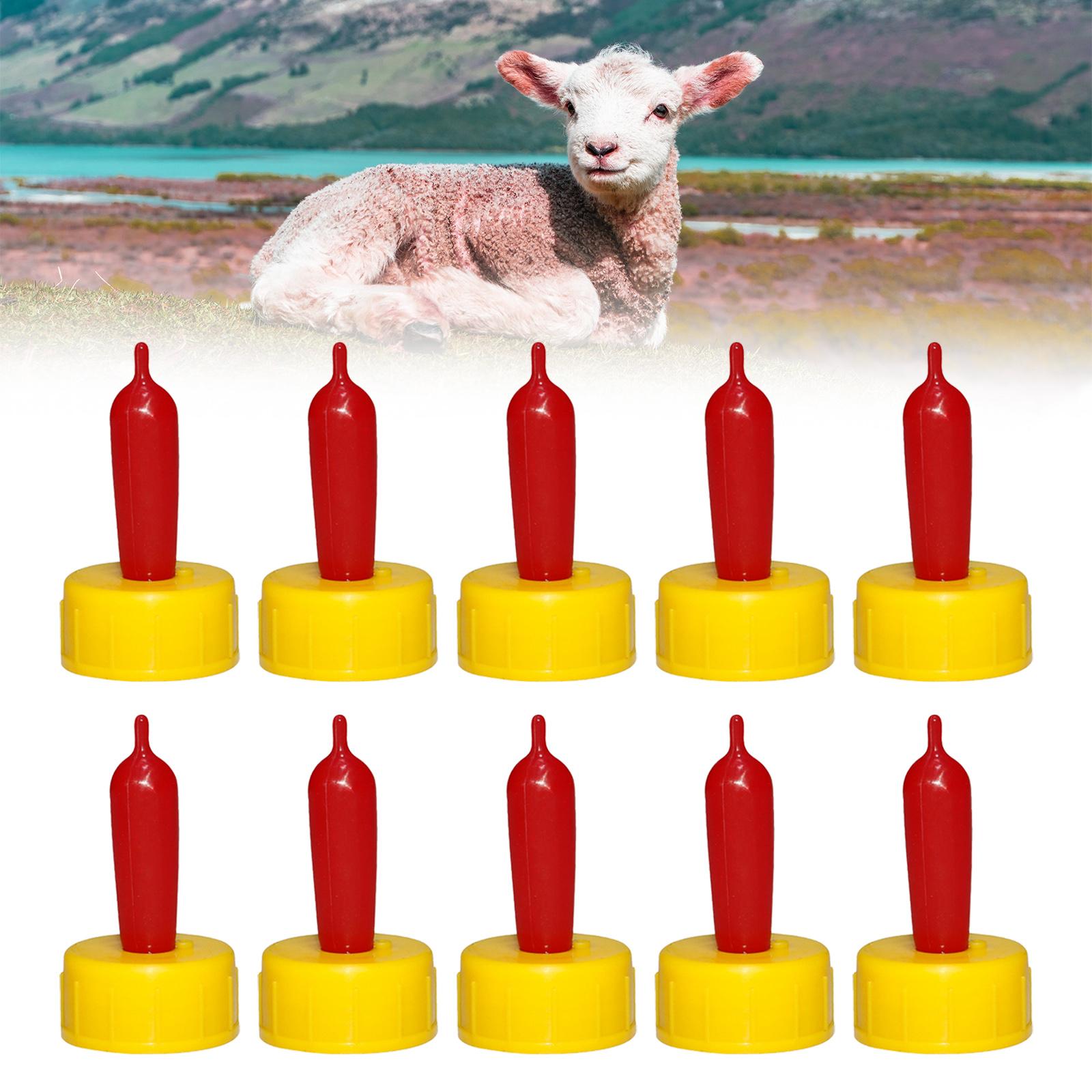 حلمة شرب مطاطية ناعمة للأغنام  - مراجعة Agriculture Goat Farming وسعره