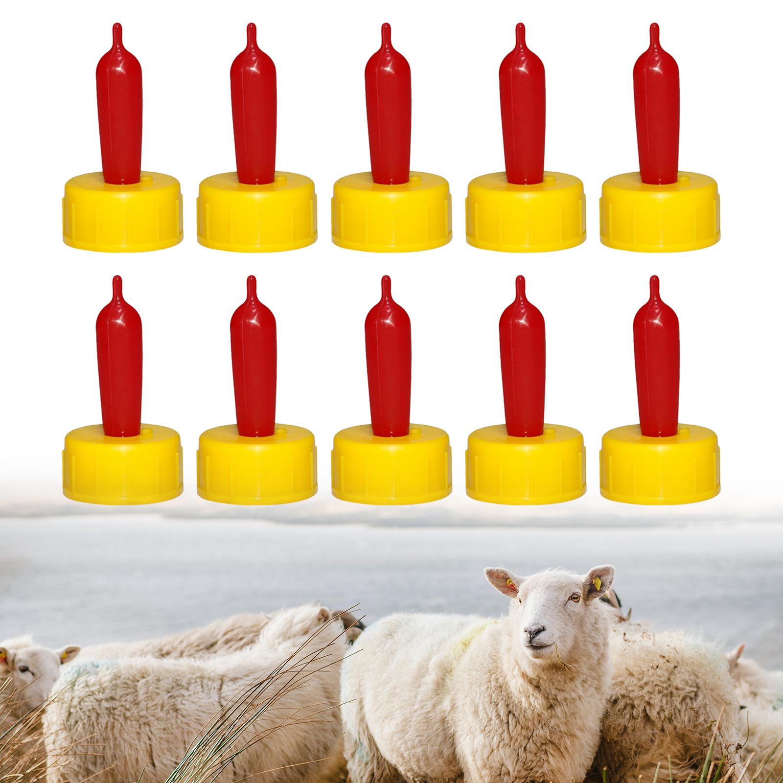 حلمة شرب مطاطية ناعمة للأغنام  - مراجعة Agriculture Goat Farming وسعره