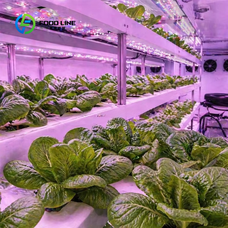 مزرعة حاويات زراعة مائية لزراع - مراجعة Farming Agriculture Project وسعره