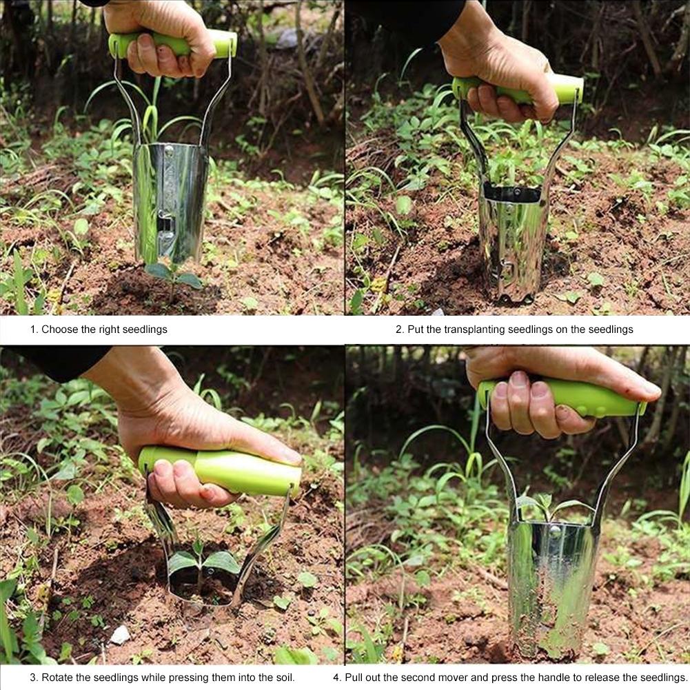 أداة زراعة البصيلات في الحدائق - مراجعة Seed Planter وسعره