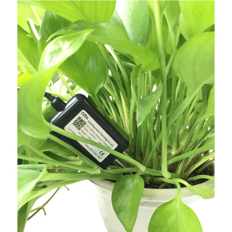 RS485 4-20mA مقياس رطوبة الترب - مراجعة Soil Moisture Sensor وسعره
