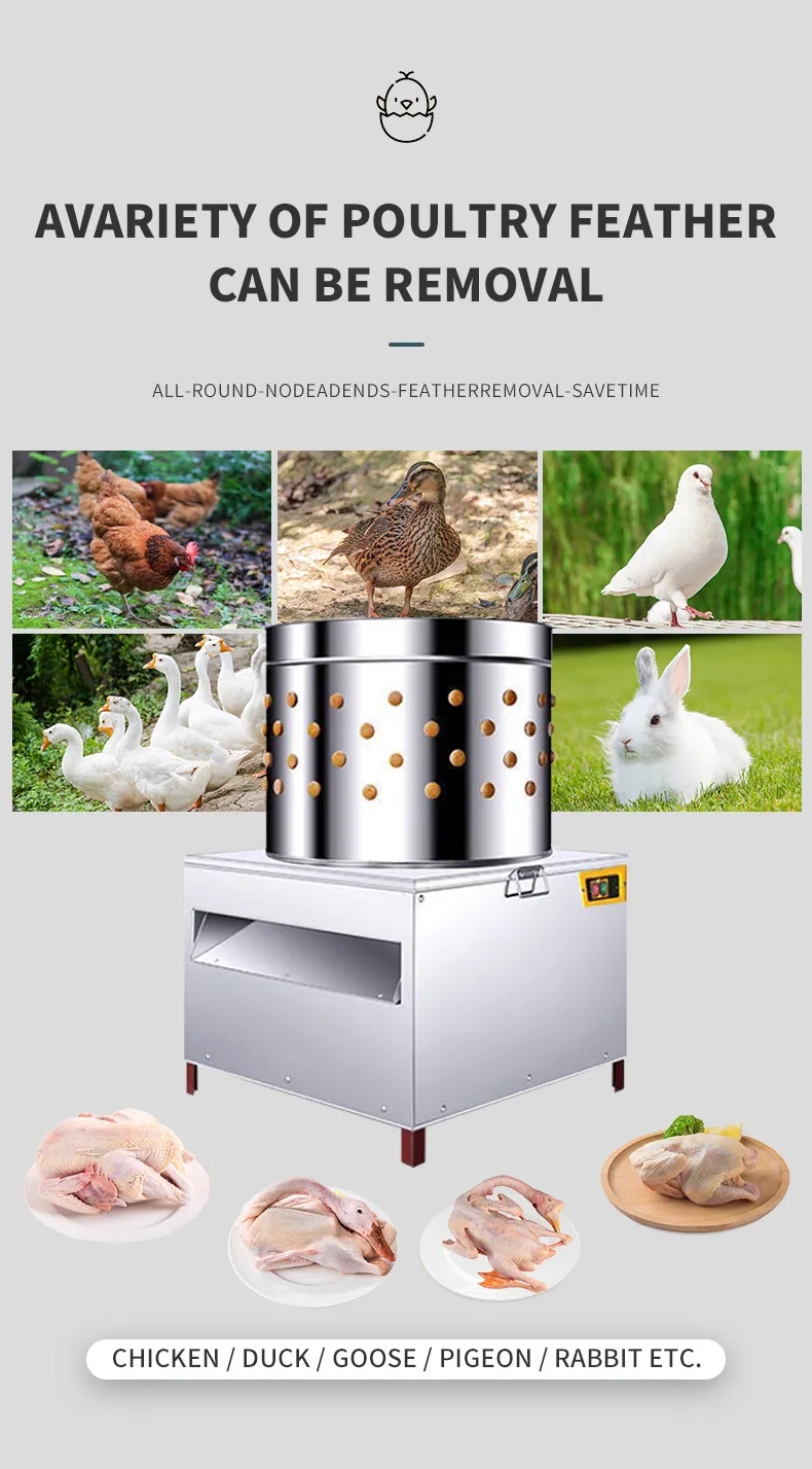 آلة نتف ريش الدجاج متوسطة الحج - مراجعة Chicken Plucker Machine وسعره