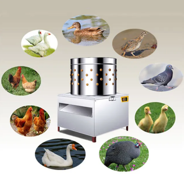 آلة نزع ريش الدجاج التجارية ال - مراجعة Chicken Plucker Machine وسعره