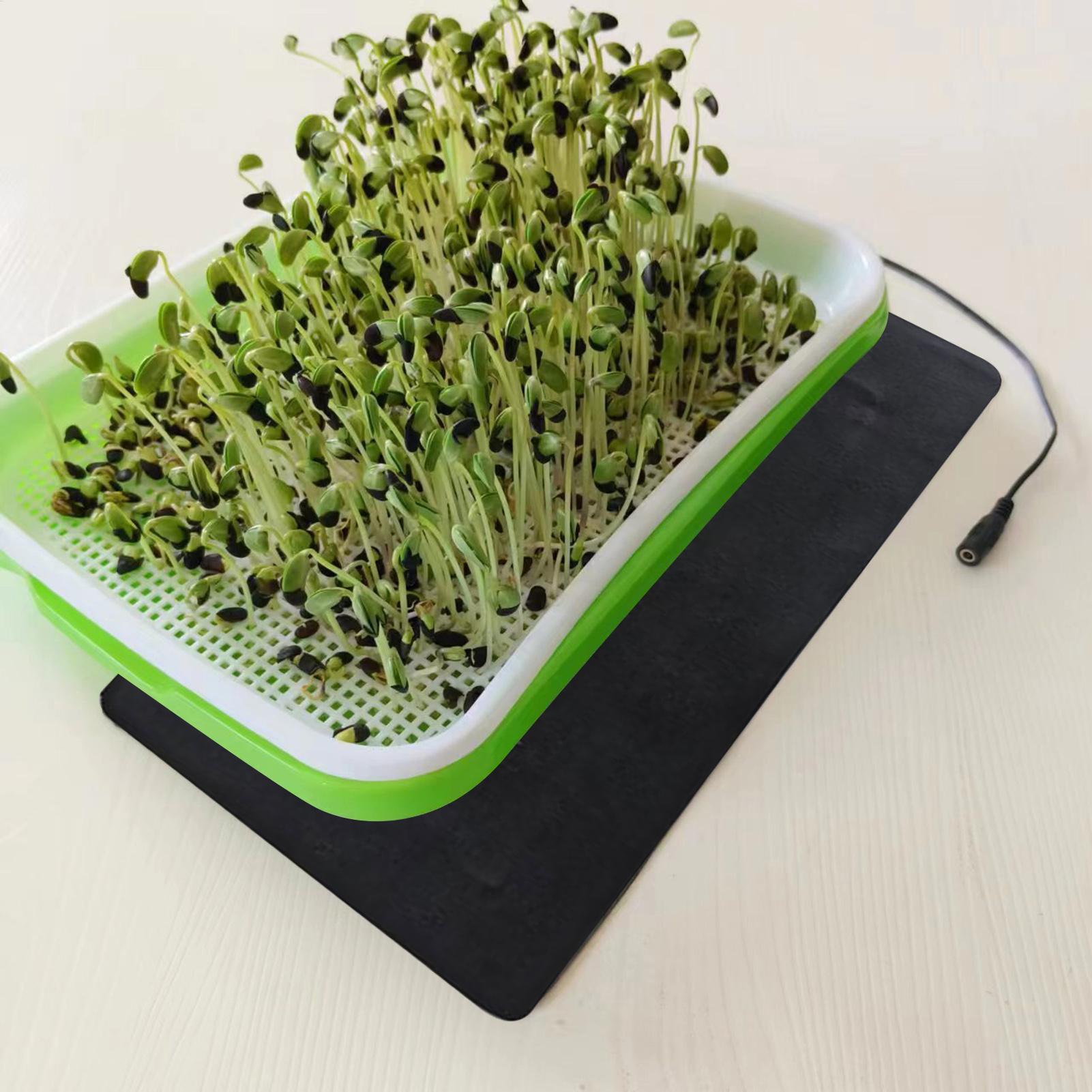 سجادة تسخين للشتلات بقوة 8.5 و - مراجعة Seedling Heat Mat وسعره