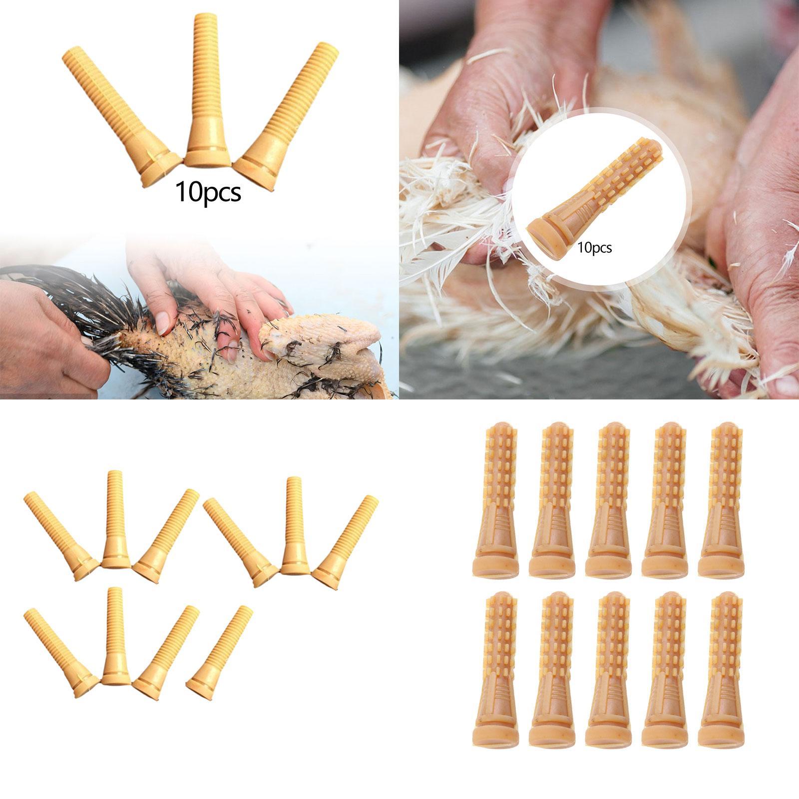 أصابع مطاطية بديلة لآلة نتف ال - مراجعة Chicken Plucker Machine وسعره