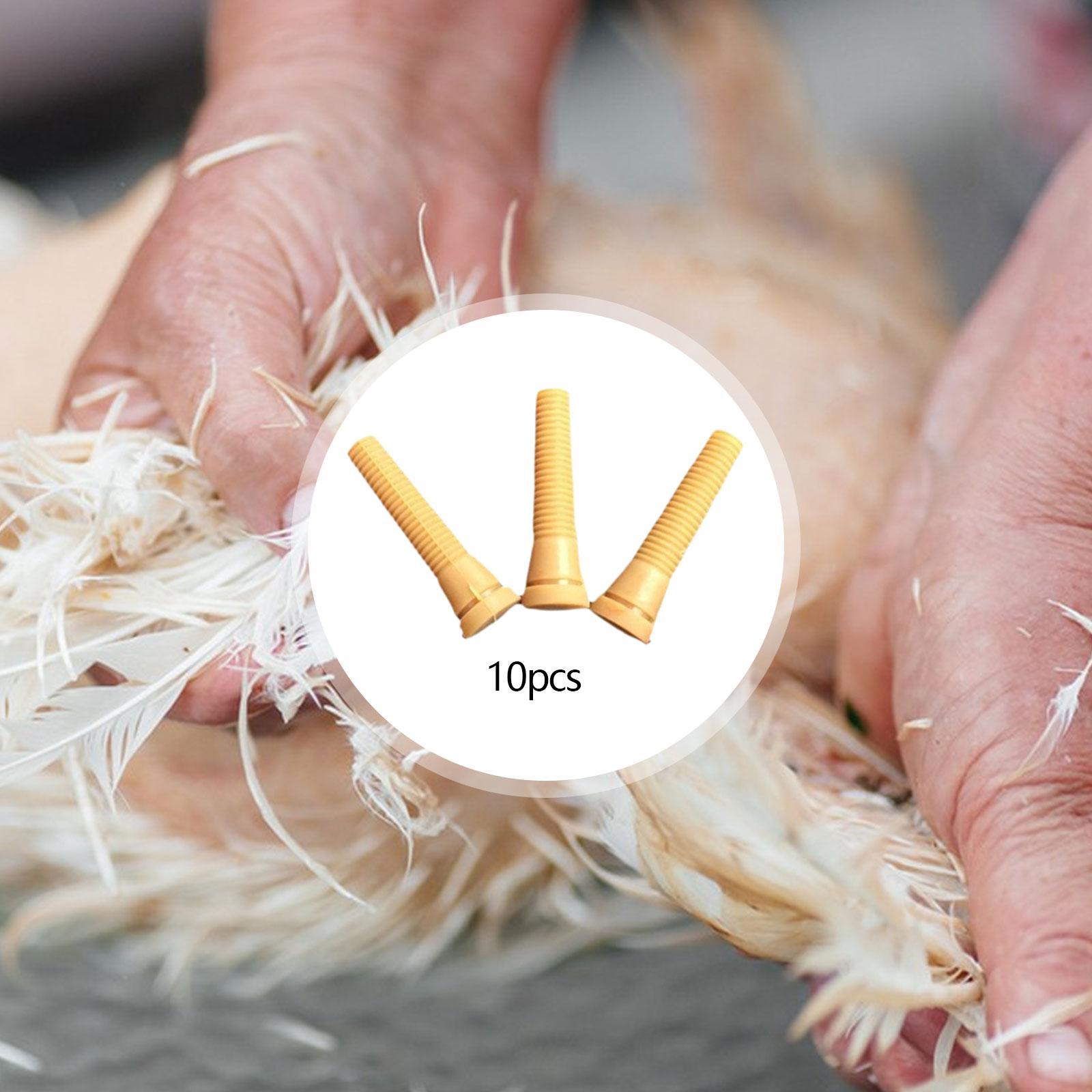 أصابع مطاطية بديلة لآلة نتف ال - مراجعة Chicken Plucker Machine وسعره
