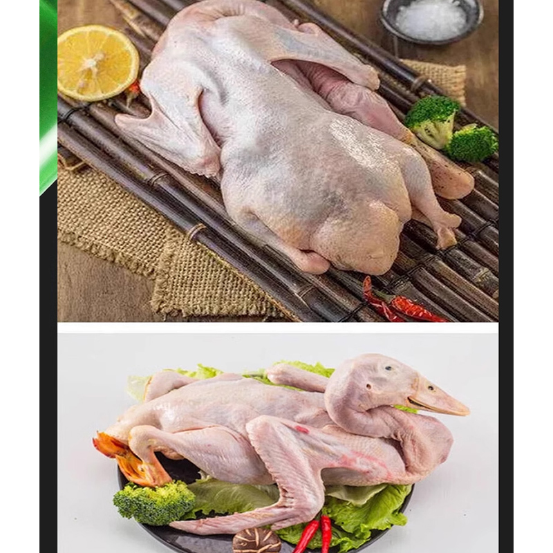 يده آلة ناتف الريش التلقائي ال - مراجعة Chicken Plucker Machine وسعره