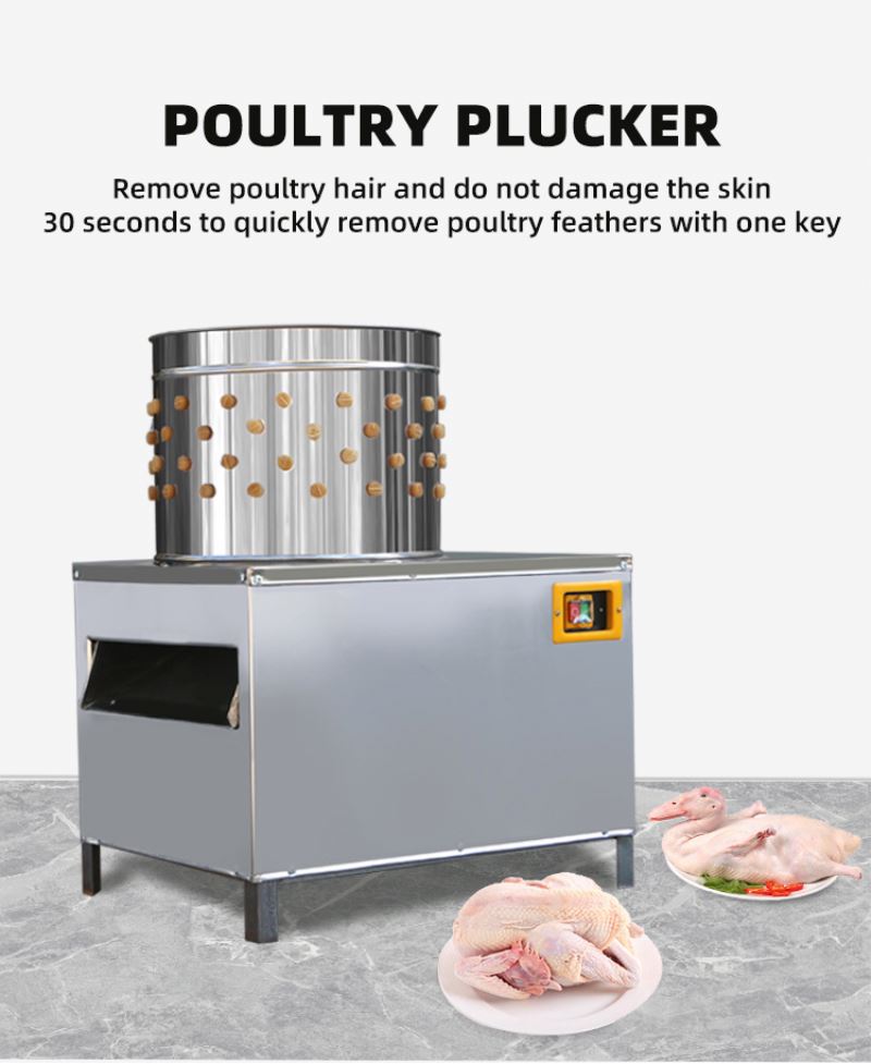 آلة ذبح الحمام والدجاج معتمدة  - مراجعة Chicken Plucker Machine وسعره