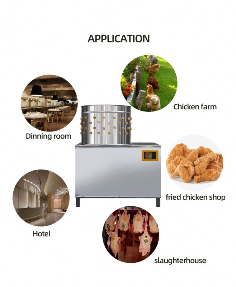 آلة ذبح الحمام والدجاج معتمدة  - مراجعة Chicken Plucker Machine وسعره